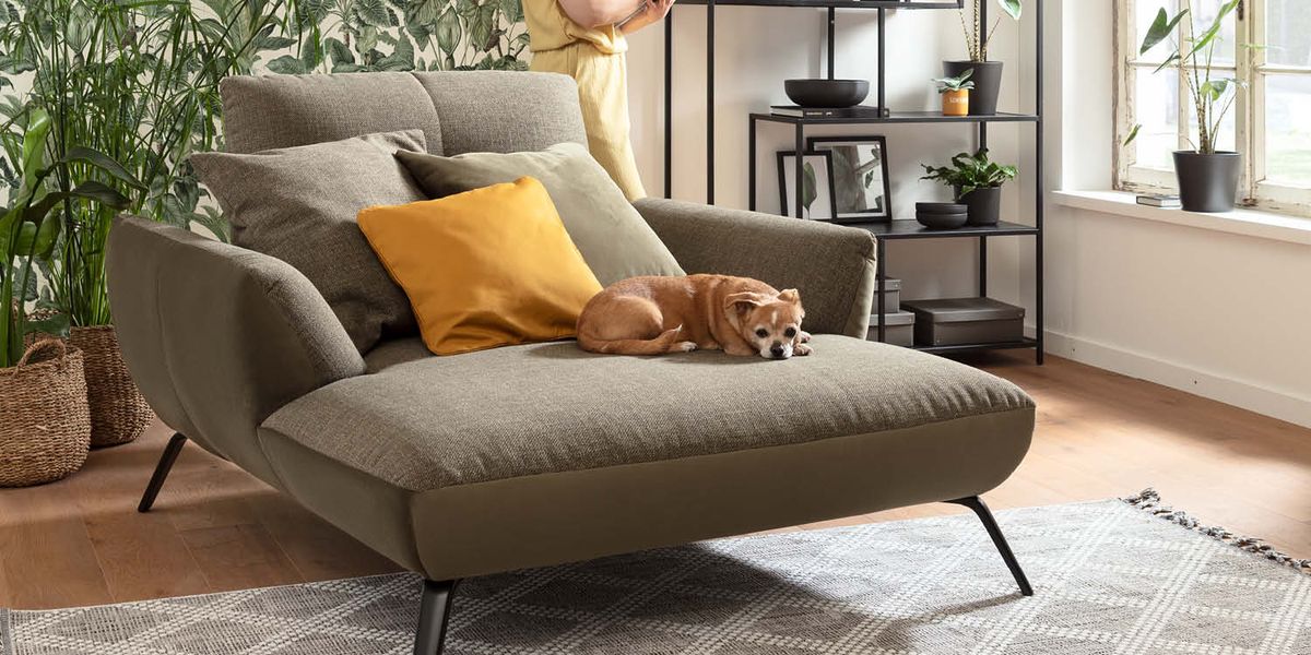 Grüne moderne Recamiere